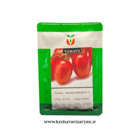 بذر گوجه فرنگی آوش