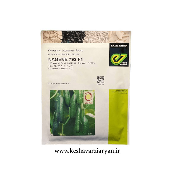 عکس محصول بذر خیار گلخانه ای ناگین NAGENE 792