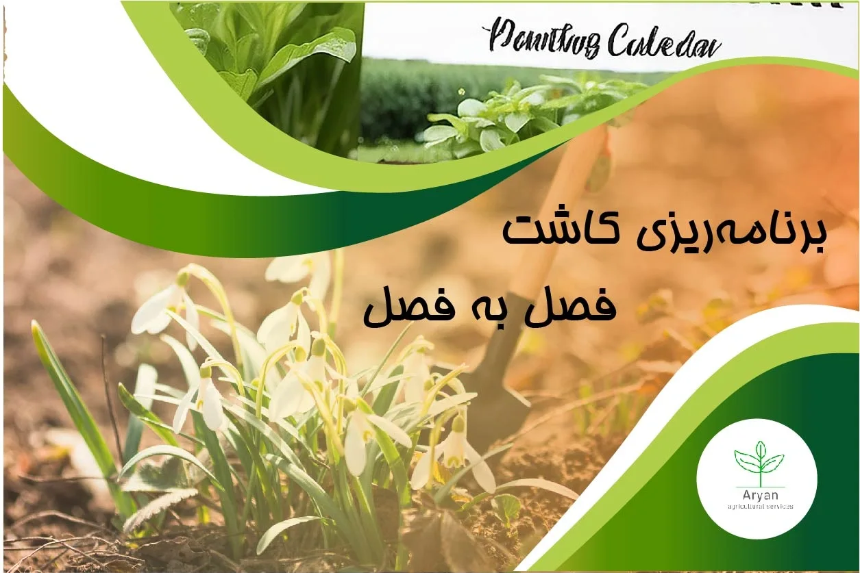 کاشت فصل به فصل
