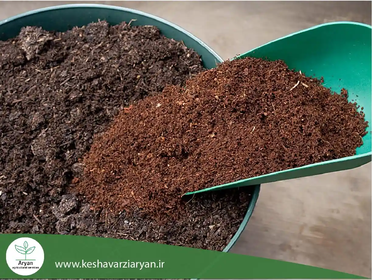 کوکوپیت 2 (1)