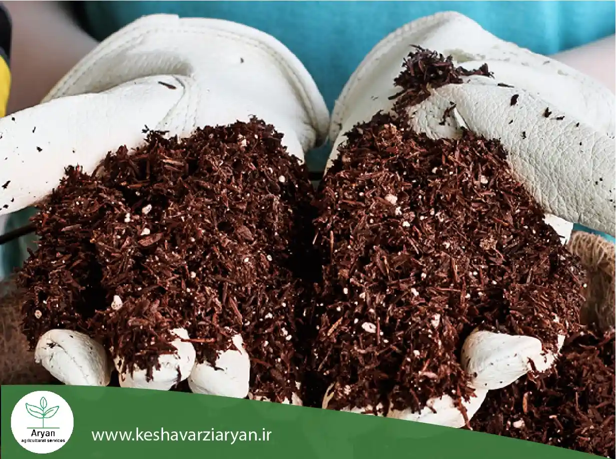 کوکوپیت 3 (1)