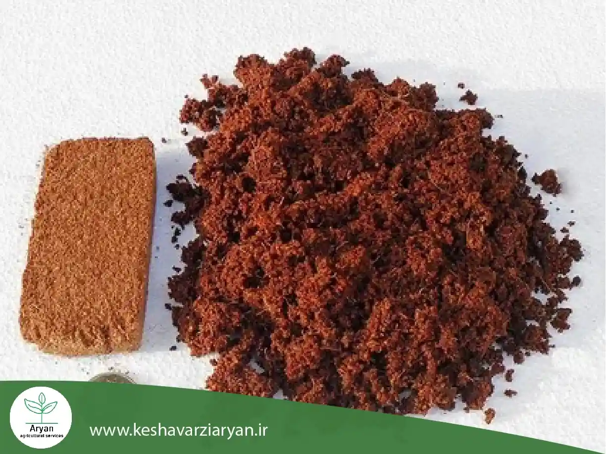 کوکوپیت 4 (1)