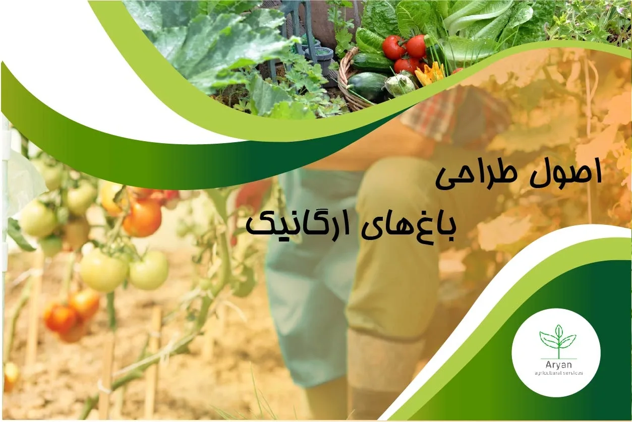 اصول طراحی باغ‌های ارگانیک