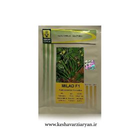 بذر خیار میلاد