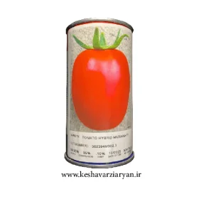 بذر گوجه فرنگی مارایانا