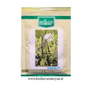 عکس محصول بذر خیار گالاردو میلر F1