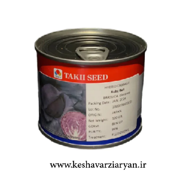 بذر کلم قرمز رابی بال