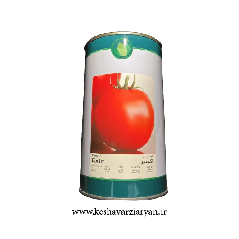 بذر گوجه‌فرنگی اکسیر فلات