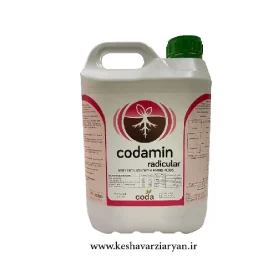 کود کدامین رادیکولار