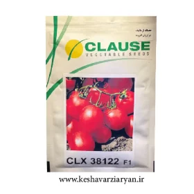 عکس محصول بذر گوجه فرنگی CLX 38122 کلوز