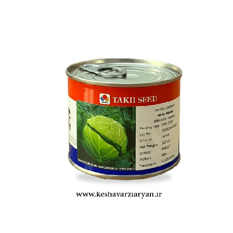 بذر کلم پیچ (برگ) سفید گلوب مستر