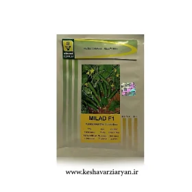 بذر خیار میلاد