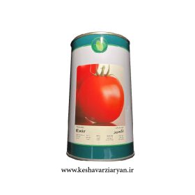 بذر گوجه‌فرنگی اکسیر فلات