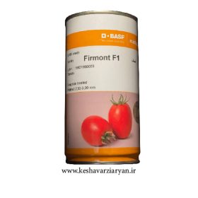 عکس محصول بذر گوجه فرنگی فرمونتFIRMONT