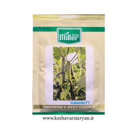 عکس محصول بذر خیار گالاردو میلر F1