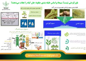طبقه‌بندی سموم