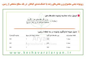 محاسبه زی‌توده