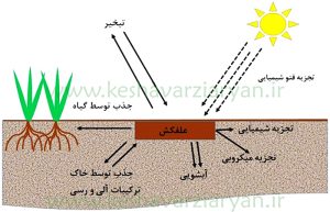 علف‌کش
