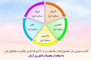 کاشت نوبتی بذرها