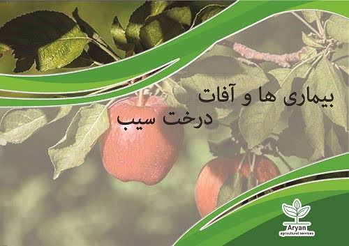 بیماری ها و آفات درخت سیب