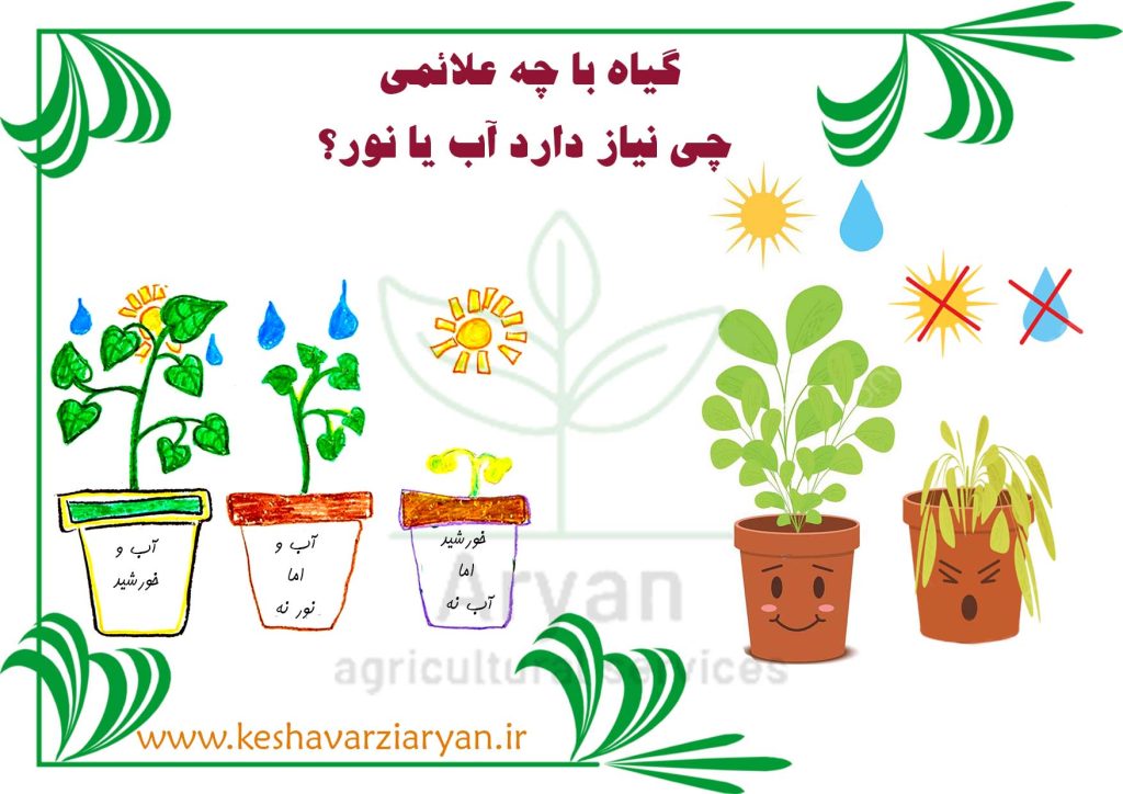 آب یا نور لازم است