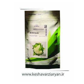 بذر گل کلم اویندولی سمینیس