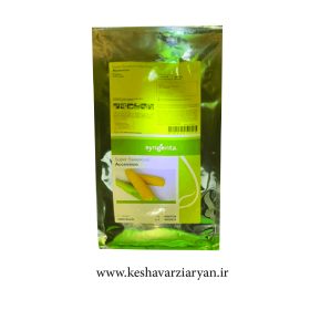 بذر ذرت شیرین اکسشن (Accession) سینجنتا