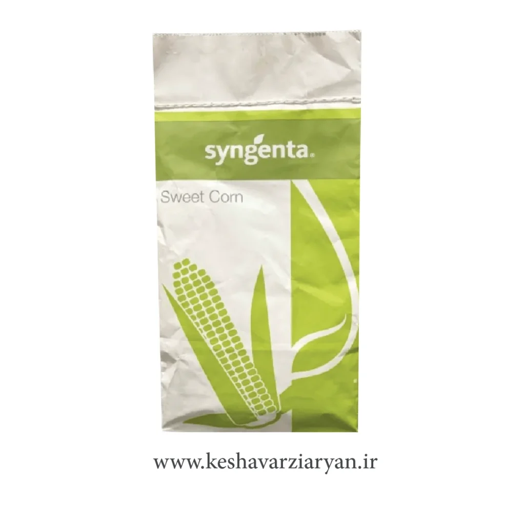 seed-corn-exenchoite-syngenta