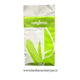 seed-corn-exenchoite-syngenta