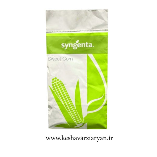 seed-corn-exenchoite-syngenta