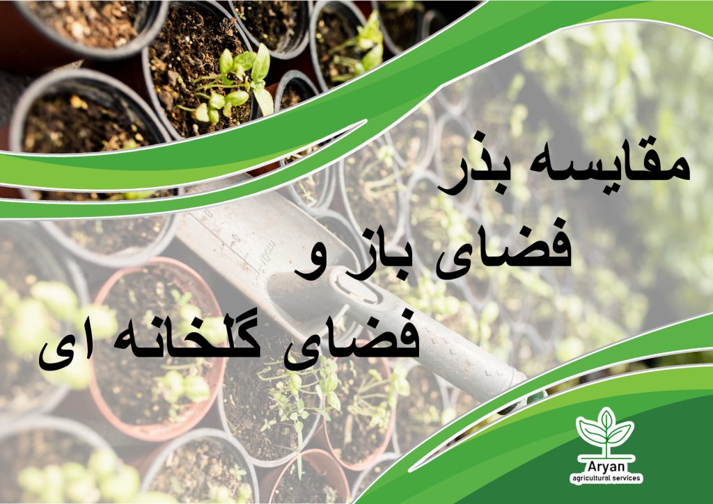 مقایسه بذر فضای باز و فضای گلخانه ای