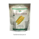 خرید بذر ذرت وانسا