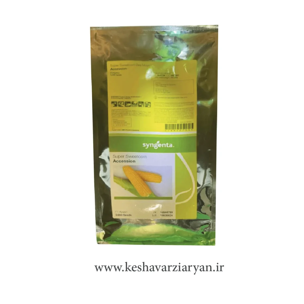 بذر ذرت شیرین اکسشن (Accession) سینجنتا