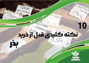 نکات خرید بذر