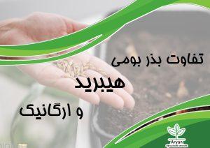 بذر هیبرید، بومی و ارگانیک