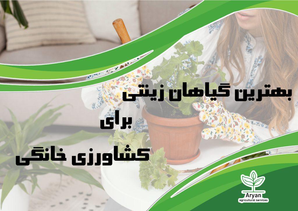 بهترین گیاهان زینتی برای کشاورزی خانگی