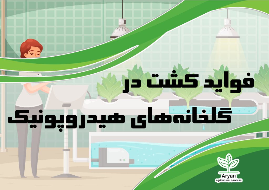 گلخانه‌های هیدروپونیک