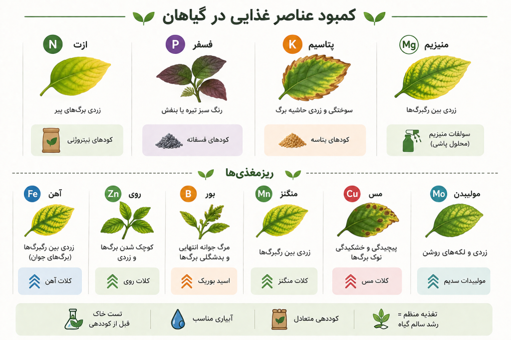 علائم کمبود عناصر غذایی