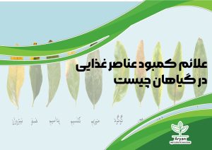 علائم کمبود عناصر غذایی در گیاهان چیست؟