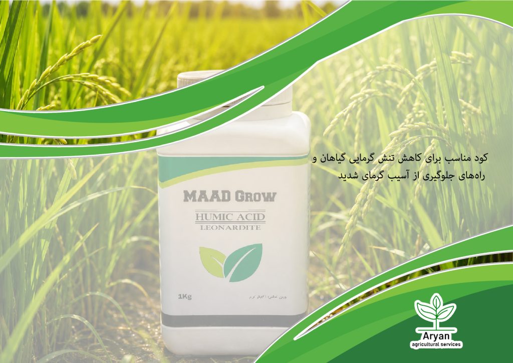 بهترین کود برای رفع تنش گرما