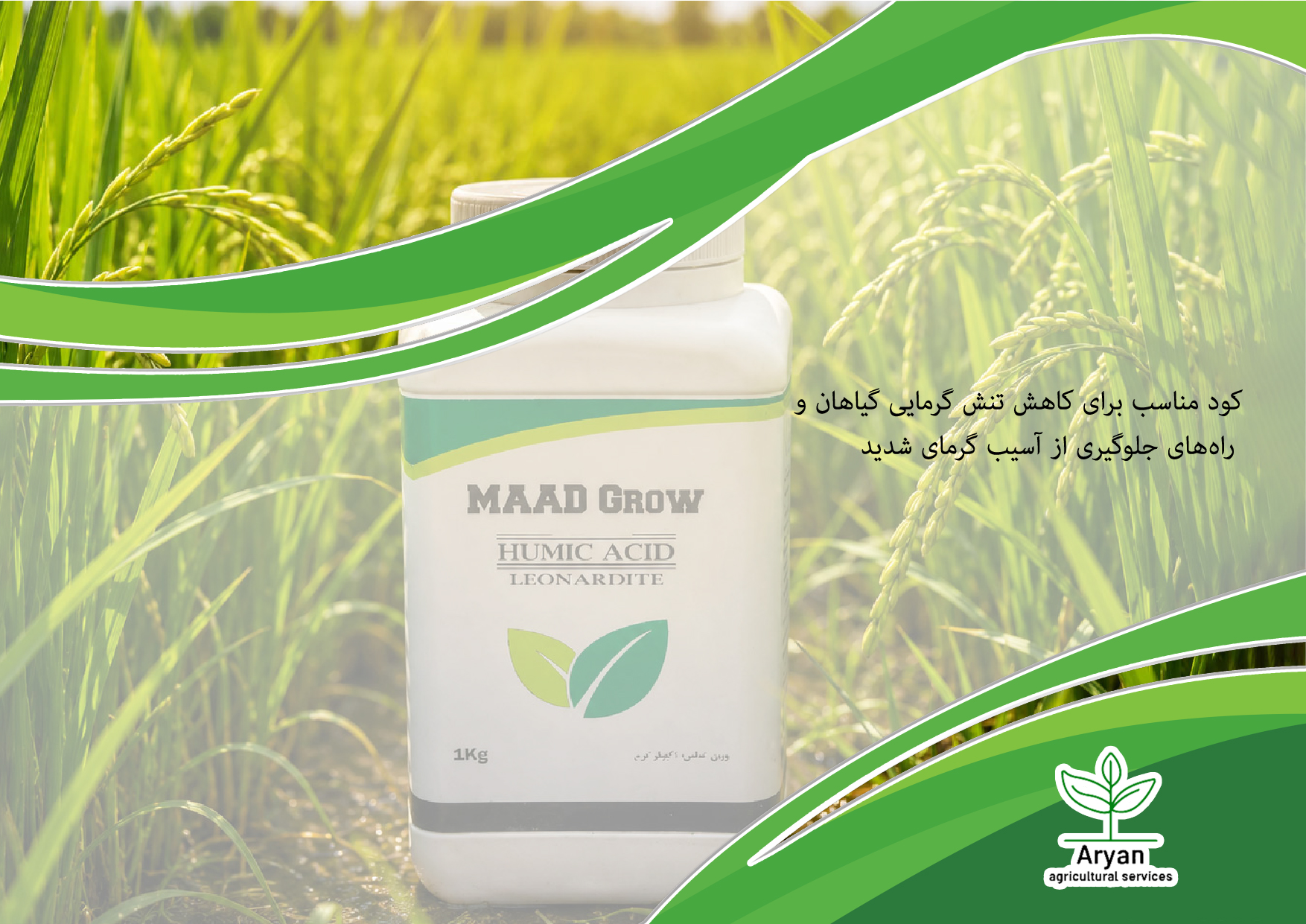 بهترین کود برای رفع تنش گرما